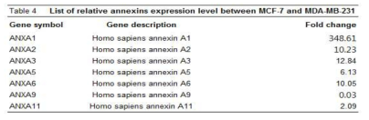 유방암 세포주 MCF-7과 MDA-MB-231세포에서 annexin family의 발현량 비교