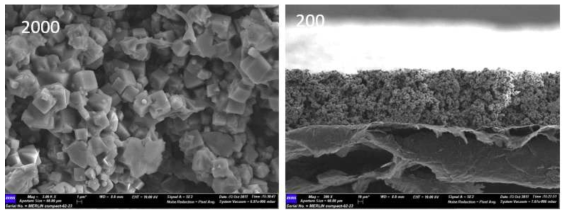 Surface and cross-sectional view of type A zeolite composite electrode after 5 consecutive electrosorption, washing, and EDTA-desorption cycles