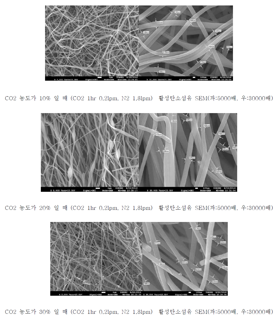 CO2 농도에 따른 활성탄소섬유의 섬유 직경 변화 SEM 이미지