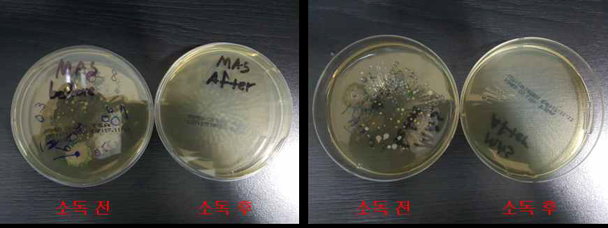 읍압실 소독 전/ 후 부유균 측정