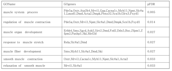 Biological processes enriched in RU486 treated Brp-39 KO uteri (related to muscle function)