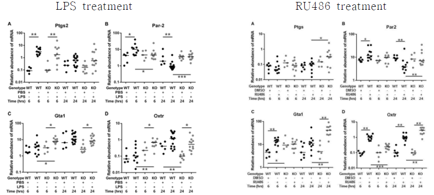 expression of uterine contraction-associated molecules