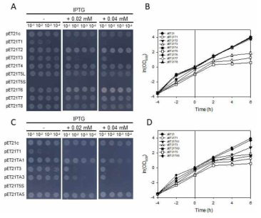 Deinococcus radiodurans toxin에 의한 대장균 성장억제와 antitoxin에 의한 성장 회복