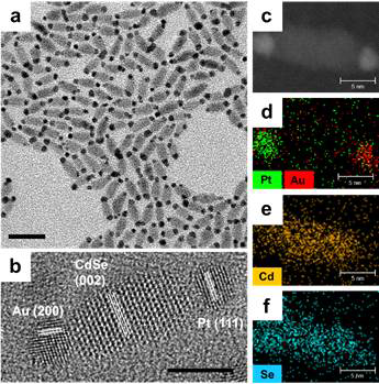 (a)Au-CdSe-Pt 혼성 나노 구조체의 (a) TEM 및 (b) HRTEM 이미지. (이미지 내 막대의 경우 (a) 20 nm, (b) 5 nm를 나타냄) (c-f) 합성된 혼성 나노 구조체의 EDS mapping 이미지