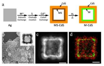 (a)은 나노육면체를 매개로 한 이중껍질 나노 정육면체의 합성 모식도, (b-d) 합성된 최종 물질인 Pt-CdS의 SEM, STEM, EDS mapping 이미지
