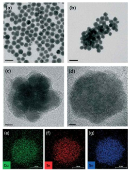 (a, c) Cu2-xSe 와 (b, d)CuInSe2의 HRTEM 및 TEM 이미지와 (e-g) HAADF-STEM 원소분석 이미지