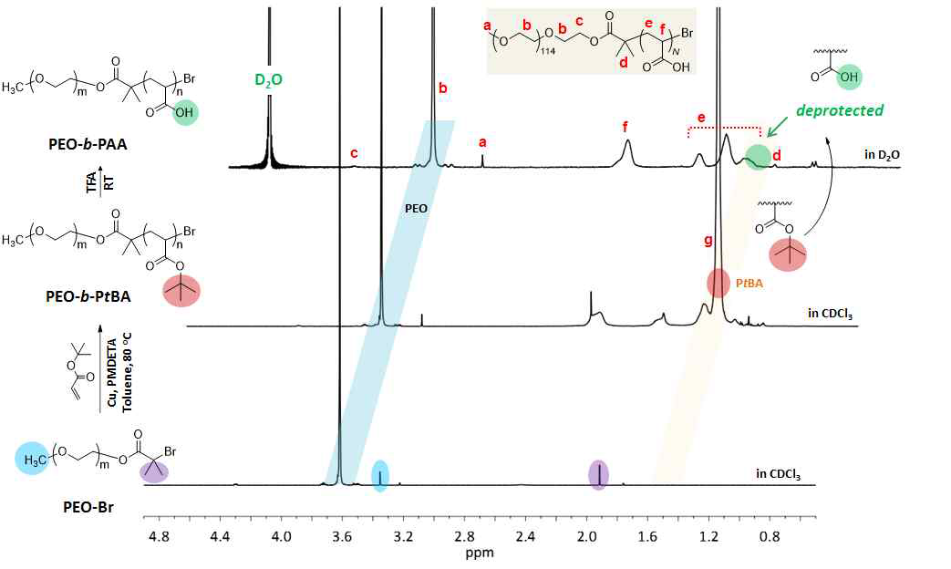 PEO-Br macroinitiator, PEO-b-PtBA, 및 PEO-b-PAA 의 핵자기공명 스펙트럼 (1H NMR)