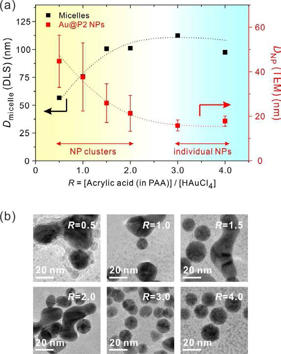 (a) P2 - HAuCl4 하이브리드 마이셀과 금 나노 입자의 DLS와 TEM 분석. (b) R 값에 따른 TEM 이미지