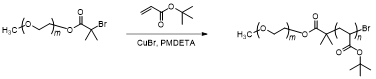 PEO-Br macroinitiator 와 tert-butyl acrylate을 이용한 PEO-b-PtBA 블락공중합체 합성 과정