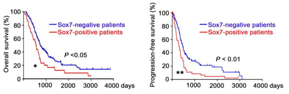 악성교모종 환자에서 Sox7의 발현 양상에 따른 생존과의 관계. Sox7 (+) 발현 환자의 경우 Sox7 (-) 발현 환자에 비해 전체 생존율과 무증상 생존율의 유의한 감소를 보임
