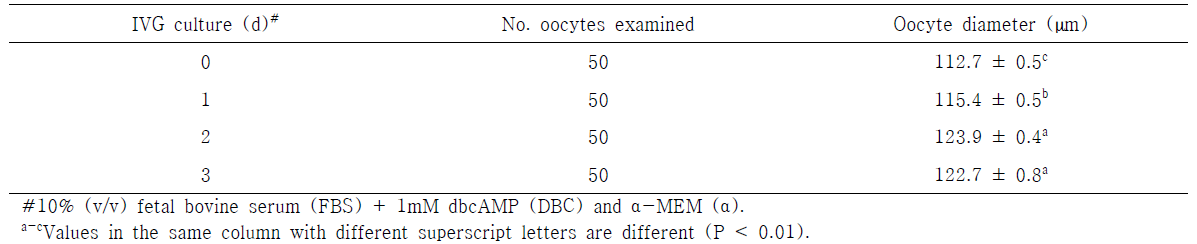 Diameter of porcine oocyte from small antral follicles cultured in vitro growth (IVG) medium supplemented with dbcAMP (DBC)