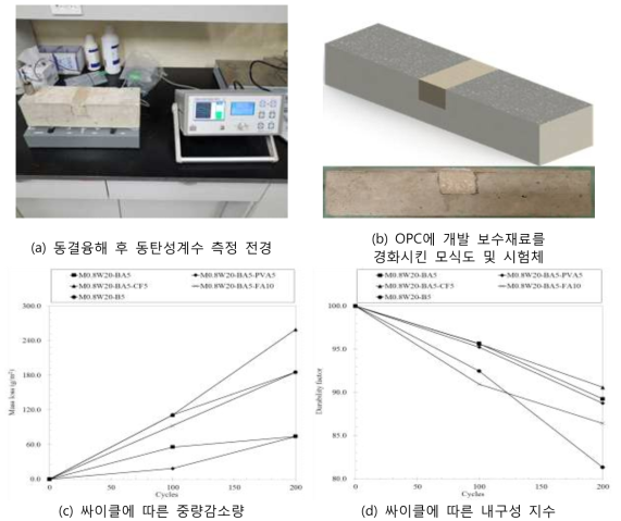 개발 보수재료의 동결융해 저항성