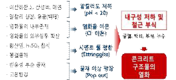 복합열화에 의한 콘크리트 열화 메커니즘