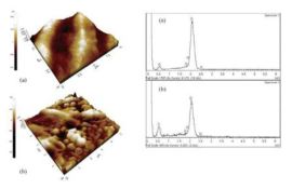 Milling zirconia와 PIM zirconia의 AFM 및 EDS 비교 사진