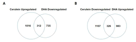 (A) None에 비하여 cerulein에 의하여 2배 이상 증가하거나 DHA에 의하여 2배 이상 감소하는 유전자수와 cerulein에 의하여 증가된 유전자와 DHA에 의하여 감소된 유전자수 (B) None에 비하여 cerulein에 의하여 2배이상 감소하거나 DHA에 의하여 증가하는 유전자 그리고 cerulein에 의하여 감소된 유전자와 DHA에 의하여 증가된 유전자수