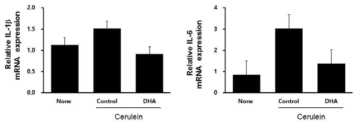흰쥐에 cerulein 및 오메가 3 지방산 (DHA)을 투여한 후, 췌장에서 RNA를 추출하여 realtime PCR법을 이용하여 췌장조직내 IL-1beta와 IL-6 mRNA의 발현변화를 측정함
