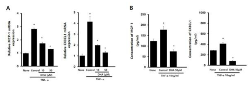 (A) 췌장 성상세포에 DHA를 전처리하고 3시간 동안 TNF-α를 투여한 후, real-time PCR법을 이용하여 MCP-1, CXIL-1 mRNA의 발현변화를 측정함. (B) 췌장 성상세포에 DHA를 전처리한 후, 15시간 동안 TNF-α를 투여한 후 ELISA를 이용하여 배지내 MCP-1, CX3CL-1 단백질량의 변화를 측정하였음