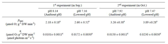 각 pH 조건에서의 거머리말의 최대광합성률과 광합성효율