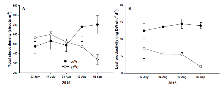 인위적인 수온 조절에 의한 잘피의 생육밀도(A) 및 생산성(B) 변화