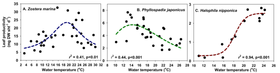 거머리말(A), 게바다말(B), 해호말(C)의 수온변화에 따른 생장 패턴