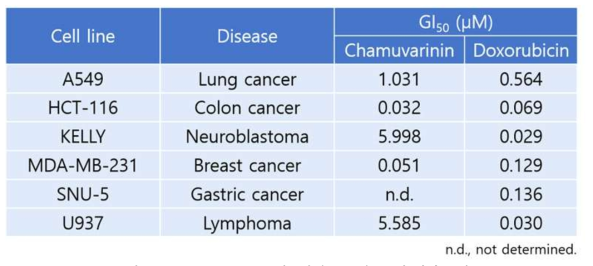 (+)-Chamuvarinin의 암세포주 세포증식 억제 효과