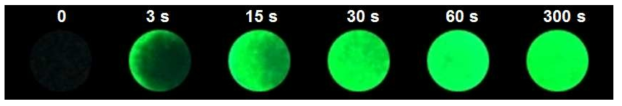 프로브 o-OH/TEA-DMAP 용액을 흡착시킨 종이를 DCP 증기에 노출시킨 후 시간에 따른 형광 반응성의 변화를 365 nm UV 램프 하에서 측정한 사진