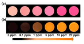 1-oxime/PEO가 흡착된 TLC를 다양한 농도의 포스겐 가스에 30초 동안 노출시킨 후 측정한 색 (a)과 형광 (b) 사진. [phosgene vapor] = 0, 0.1, 1, 5, 10, 20 ppm
