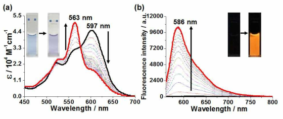 NADH와 프로브 1이 포함된 인산완충액에 나이트로리덕테아제를 첨가해 준 후 시간에 따라 관측된 흡수 및 방출 스펙트럼. 여기파장 = 530 nm. [1] = 1 μM. [나이트로리덕테아제] = 1 μg/mL. [NADH] = 0.5 mM. 삽입된 사진: NADH와 프로브 1 (5 μM)이 포함된 인산완충액에 나이트로리덕테아제를 처리하기 전과 후 사진. 왼쪽: 햇빛 하 측정, 오른쪽: 365 nm UV 램프 하 측정