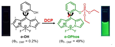 프로브 o-OH의 화학 모의작용제 (DCP)의 형광 탐지를 위한 반응기작 모식도