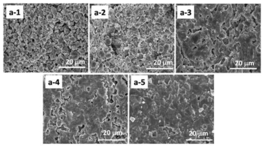 1050℃에서 소결된 Ti1-xMnxP2O7 샘플의 파단부분의 배율이 다른 SEM image, (a-1) TiP, (a-2) TMP5, (a-3) TMP8, (a-4) TMP10, (a-5) TMP12