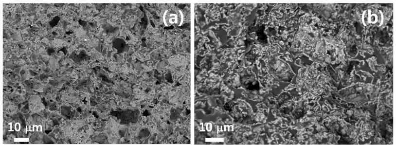 SEM image of the fractured section of (a) CGP-PS1 and (b) CGP-PS2 after long-term conductivity measurement