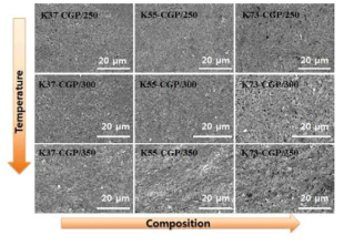 SEM images of fractured section of various K-CGP composites