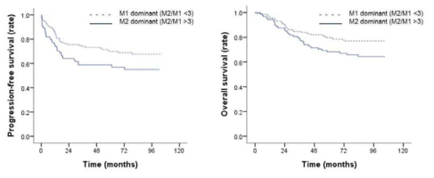TAM subtype과 대장암 환자의 생존율 관계