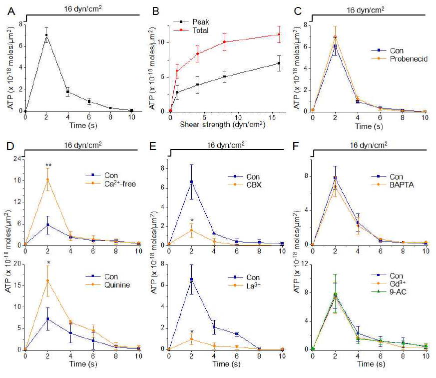 Luciferin-luciferase 반응을 이용해 측정된 전단자극에 의한 심방세포 ATP 유리 및 그 기전. A) 10초간 전단자극을 가하고 2초간격으로 세포외액의 ATP농도를 측정하여 세포 면적으로 보정한 값. 일시적 증가를 보임. B) 전단자극 강도의 효과. C) pannexin 억제 효과. D, E) 커넥신 항진 및 억제 효과. F) 세포외 유출, 맥시음이온 채널, 염소이온채널 억제 효과