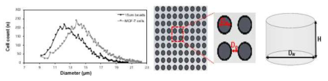 본 연구진이 개발한 micro-well based channel의 dimension 및 cell size distribution