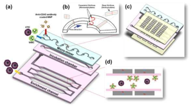 본 연구진이 개발하여 CTC isolation을 one-step으로 최적화 한 μ-MixMACS chip 모식도