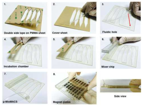 본 연구진이 개발하여 CTC isolation을 one-step으로 최적화 한 μ-MixMACS chip 제작 과정