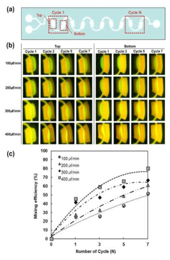 Multi-vortex mixer에 대한 모식도와 mixing이 형성되는 형광 이미지 및 mixing efficiency