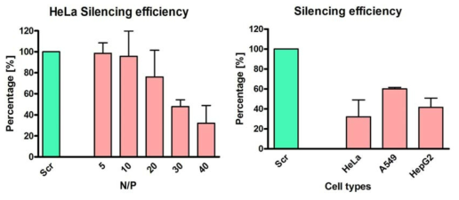 PLT/siRNA의 Luciferase gene silencing 효과 측정 결과