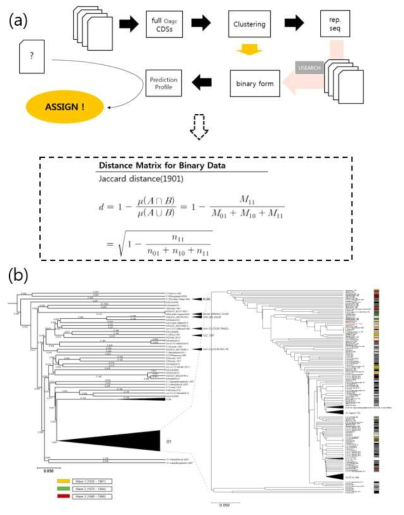 항원 결정 유전자 집단을 이용한 genomic serotyping(a)과 알고리즘을 이용한 Vibrio cholerae 종의 항원형 분류(b)