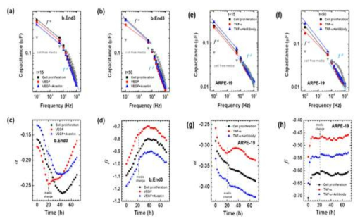 내피세포에서 (a)측정 시간 15시간, (b)50시간에서의 100Hz-100kHz에서의 커패시턴스 의 값, (c) 시간에 따른 낮은 주파수대에서의 커패시턴스 값 기울기의 변화, (d) 시간에따른 높은 주파수대에서의 커패시턴스 값 기울기의 변화. 상피세포에서 (e)측정 시간 15시간, (f) 50시간에서의 100Hz-100kHz에서의 커패시턴스의 값, (g) 시간에 따른 낮은 주파수대에서의 커패시턴스 값 기울기의 변화, (h) 시간에따른 높은 주파수대에서의 커패시턴스 값 기울기의 변화