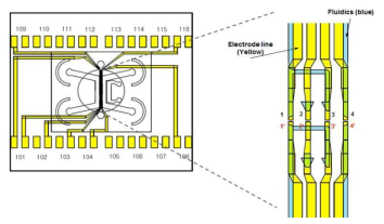 미세유체구조-커패시턴스 센서의 도면