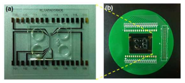 제작된 microfluidics capacitances sensor (a) 및 측정 플랫폼(b)