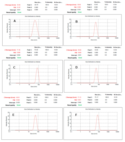 혈관투과성 측정용 bimodal 실리카 나노프로브의 크기 분포분석 A: 입자크기 30 nm (Fluorecein : PEG = 5:2) B: 입자크기 50 nm (Fluorecein : PEG = 5:2) C: 입자크기 70 nm (Fluorecein : PEG = 5:2) D: 입자크기 30 nm (Fluorecein : PEG = 6:1) E: 입자크기 50 nm (Fluorecein : PEG = 6:1) F: 입자크기 70 nm (Fluorecein : PEG = 6:1)