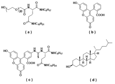 혈관투과성 측정용 페그리피드 나노입자 합성을 위한 블록중합체 및 저분자 형광물질 (a) 에틸렌글리콜 링커를 가지는 블록중합체 (b) 저분자 형광물질인 플루오르세인 (c) 플루오르세인이 결합된 블록중합체 (d) 콜레스테롤