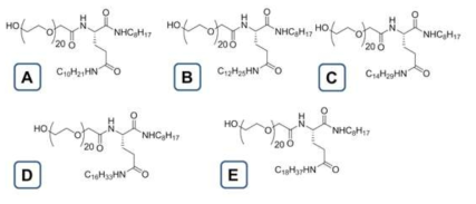 혈관투과성 측정용 페그리피드 나노입자 제작을 위한 단량체 (A) 글루탐산의 소수성 사슬이 탄소 10개, (B) 12개, (C) 14개, (D) 16개, (E) 18개로 구성된 페그리피드 나노입자 제작용 단량체 구조