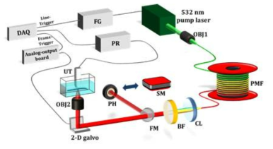 라만산란 광원 개략도. FG: function generator, PR: pre-amplifier, OBJ: objective lens, PMF: polarization-maintaining fiber, CL: collimation lens: BF: Bandpass filter, FM: flip mirror, PH: power meter head, SM: spectrometer, UT: ultrasound transducer