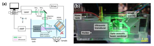 (a) 실시간 광음향 영상시스템의 구성도와 (b) 사진