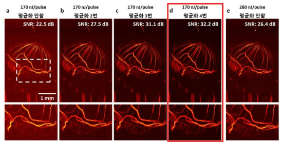 실시간 광음향 영상 시스템을 이용하여 획득한 쥐의 안구 혈관 영상(위)과 확대 영상(아래). (a-d) 170 nJ/pulse의 에너지로 영상화하여 각각 다른 개수의 평균화를 적용한 영상. (e) 280 nJ/pulse의 에너지로 영상화하고 평균화는 적용하지 않은 영상