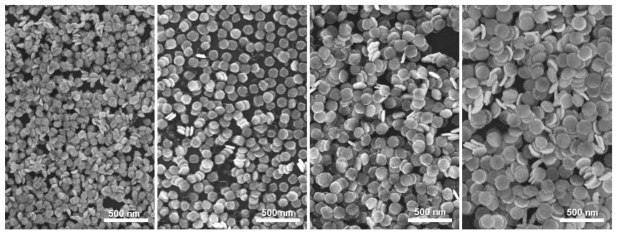 하향식 나노공정기술을 통하여 합성된 2차원 플라즈모닉 나노입자(Au nanodisk)의 SEM 이미지